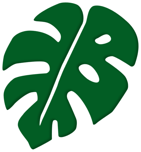 Monstera bottom-center